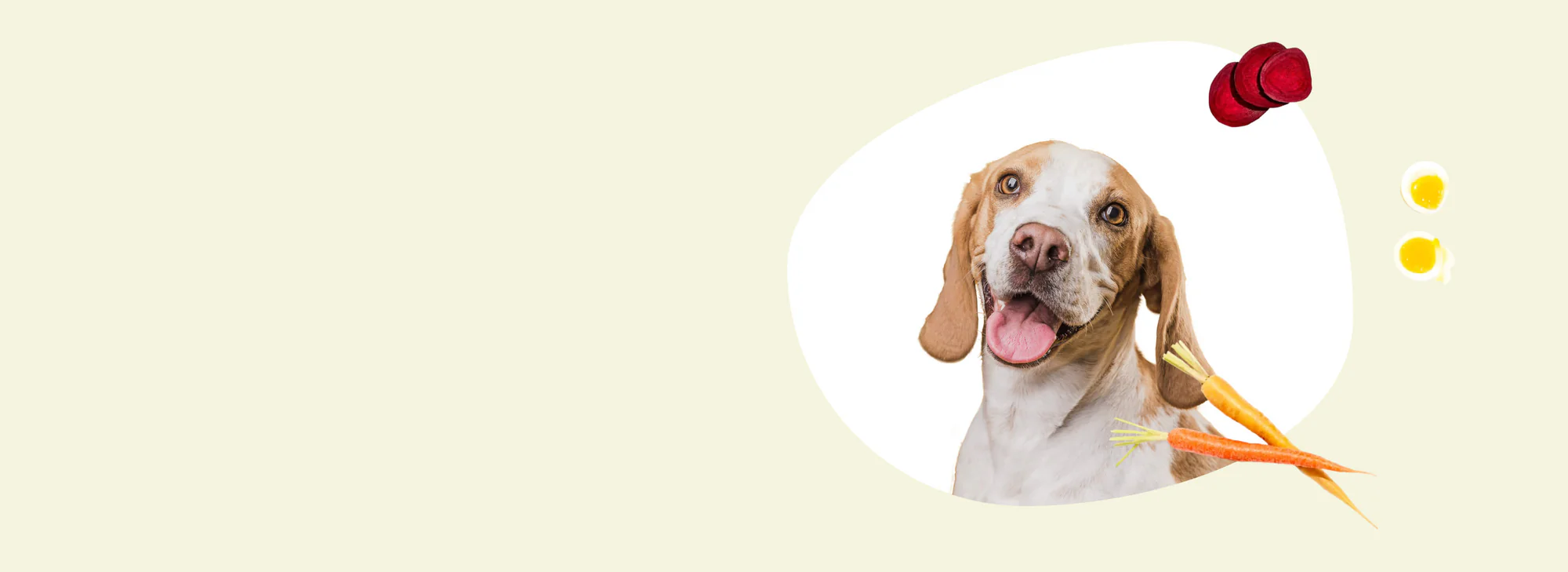 slider image slider_item_3