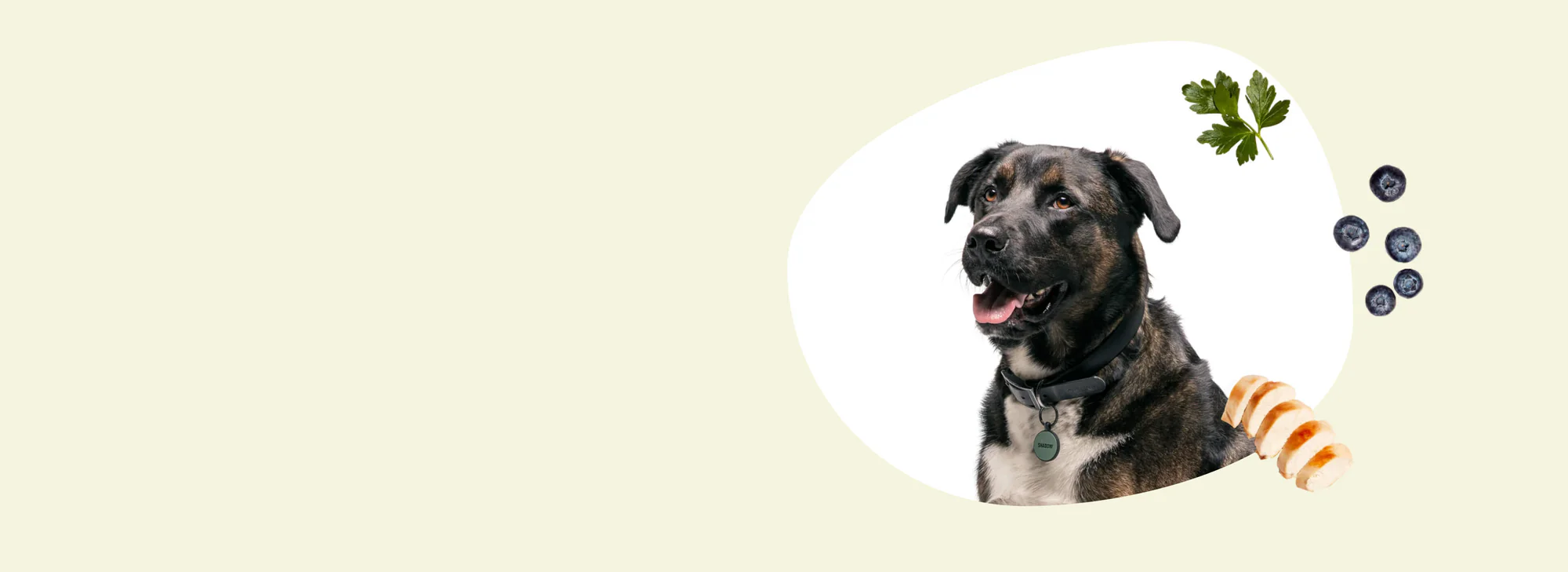 slider image slider_item_1