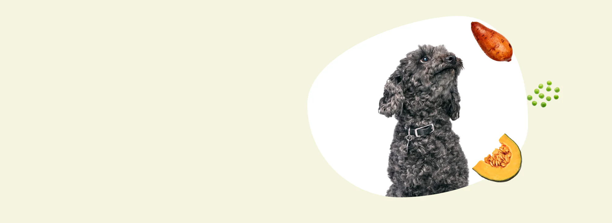 slider image slider_item_2